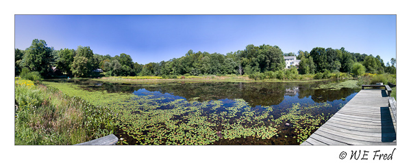 Clark's Pond, Ivoryton Connecticut